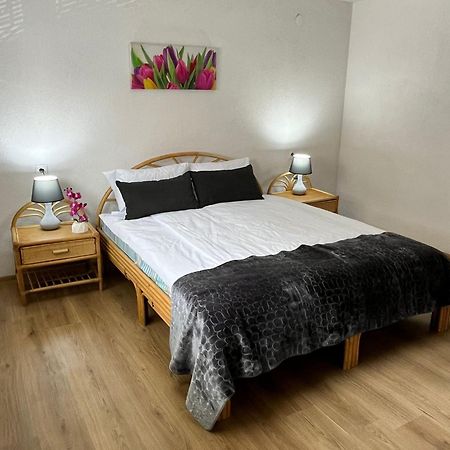 Appartment Zlatan 塞拉耶佛 外观 照片