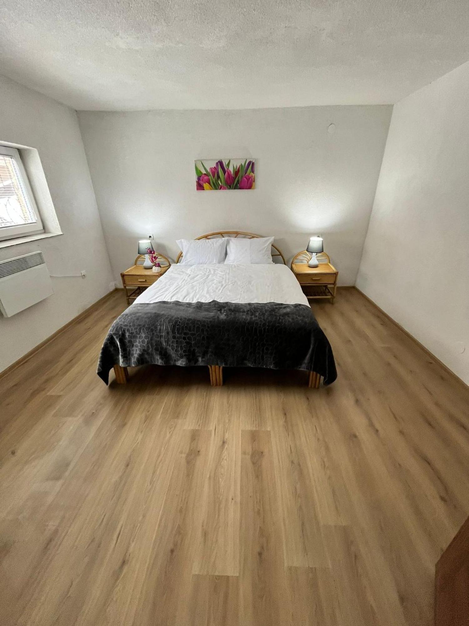 Appartment Zlatan 塞拉耶佛 外观 照片